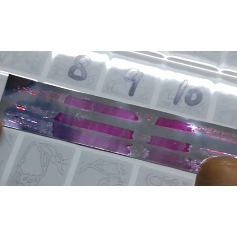 不銹鋼鋼帶等離子表面處理 不銹鋼鋼帶等離子表面處理